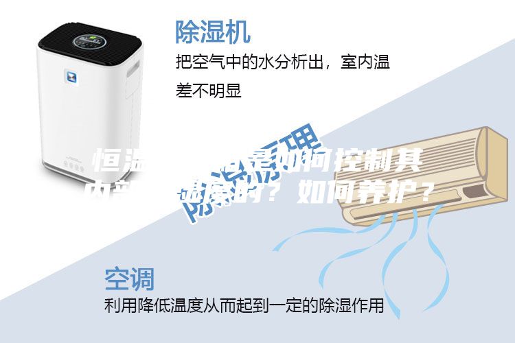 恒溫恒濕箱是如何控制其內(nèi)部溫濕度的？如何養(yǎng)護(hù)？