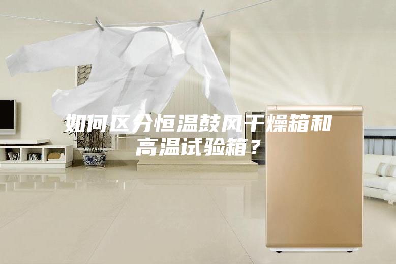 如何區(qū)分恒溫鼓風(fēng)干燥箱和高溫試驗箱？