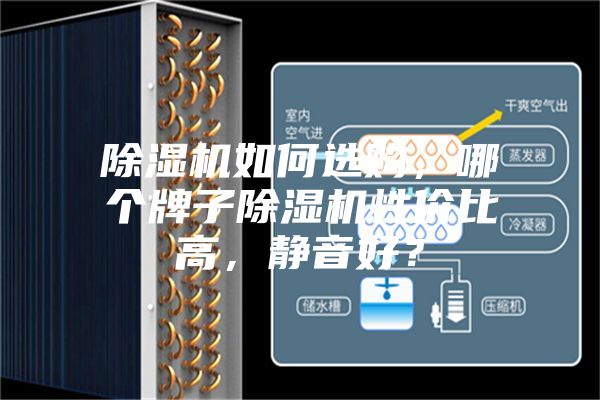 除濕機(jī)如何選購，哪個牌子除濕機(jī)性價比高，靜音好？