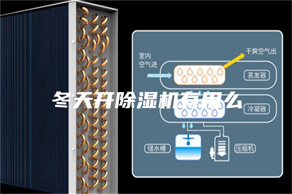 冬天開(kāi)除濕機(jī)有用么