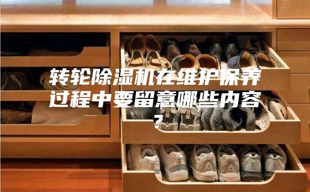 轉(zhuǎn)輪除濕機在維護(hù)保養(yǎng)過程中要留意哪些內(nèi)容？