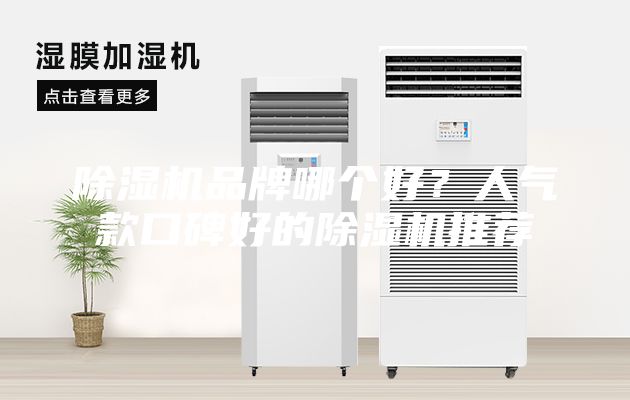 除濕機品牌哪個好？人氣款口碑好的除濕機推薦