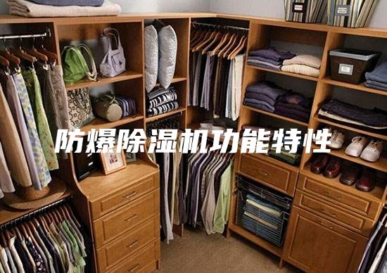防爆除濕機(jī)功能特性