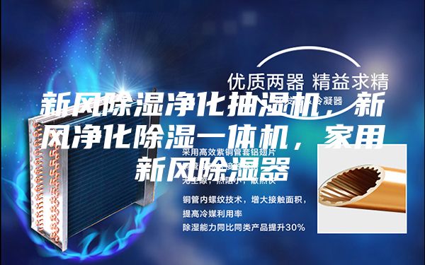 新風除濕凈化抽濕機，新風凈化除濕一體機，家用新風除濕器