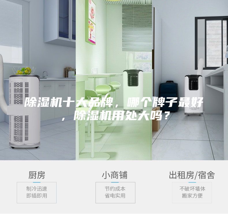 除濕機十大品牌，哪個牌子最好，除濕機用處大嗎？