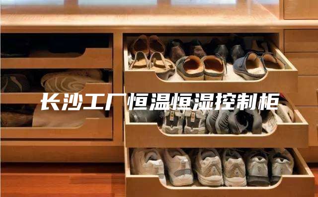 長(zhǎng)沙工廠恒溫恒濕控制柜