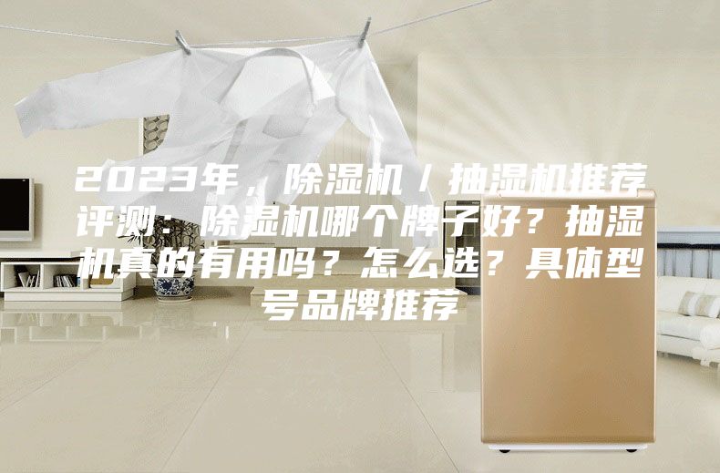 2023年，除濕機(jī)／抽濕機(jī)推薦評(píng)測(cè)：除濕機(jī)哪個(gè)牌子好？抽濕機(jī)真的有用嗎？怎么選？具體型號(hào)品牌推薦