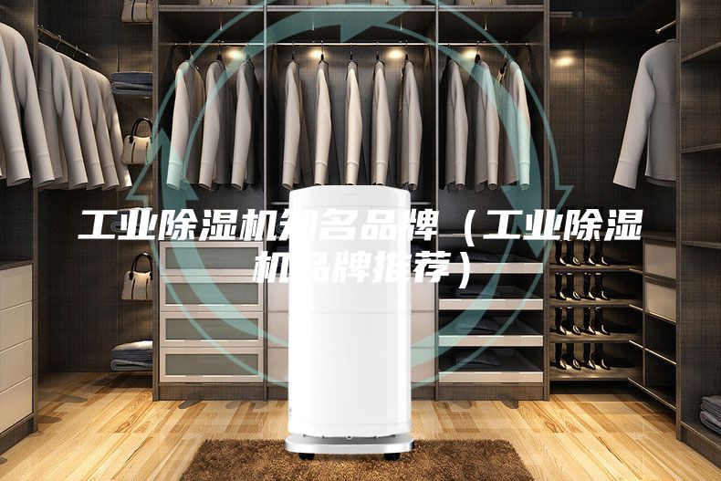 工業(yè)除濕機(jī)知名品牌（工業(yè)除濕機(jī)品牌推薦）