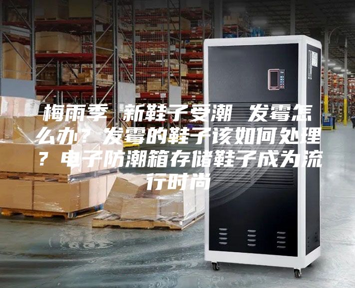 梅雨季 新鞋子受潮 發(fā)霉怎么辦？發(fā)霉的鞋子該如何處理？電子防潮箱存儲(chǔ)鞋子成為流行時(shí)尚