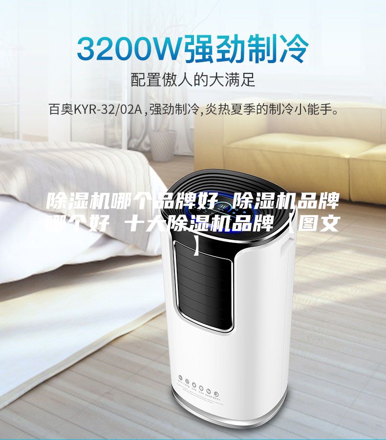 除濕機(jī)哪個品牌好 除濕機(jī)品牌哪個好 十大除濕機(jī)品牌【圖文】