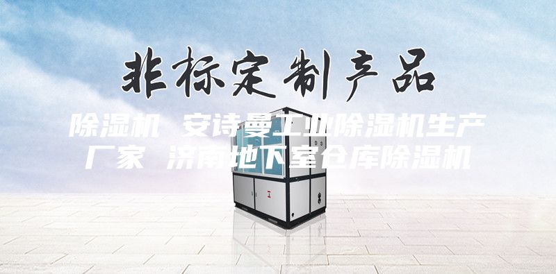 除濕機(jī) 安詩(shī)曼工業(yè)除濕機(jī)生產(chǎn)廠家 濟(jì)南地下室倉(cāng)庫(kù)除濕機(jī)