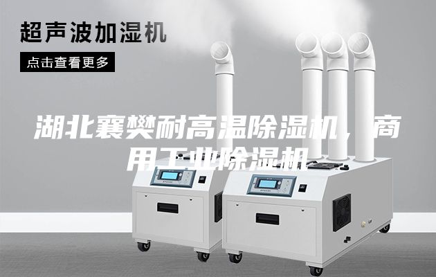 湖北襄樊耐高溫除濕機(jī)，商用工業(yè)除濕機(jī)