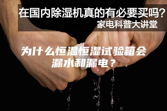 為什么恒溫恒濕試驗(yàn)箱會(huì)漏水和漏電？