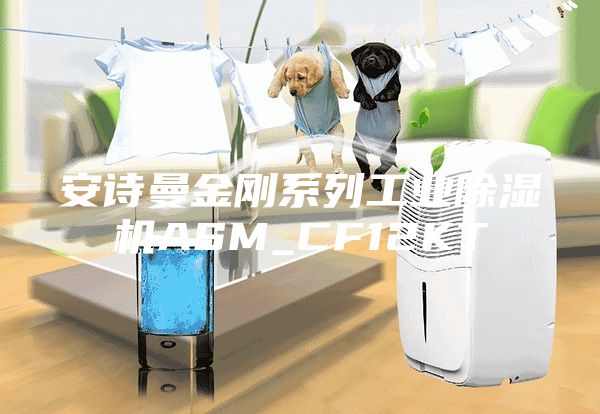 安詩曼金剛系列工業(yè)除濕機(jī)ASM_CF12KT