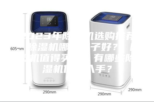 2023年除濕機選購推薦：除濕機哪個牌子好？ 除濕機值得買嗎？有哪些除濕機值得入手？