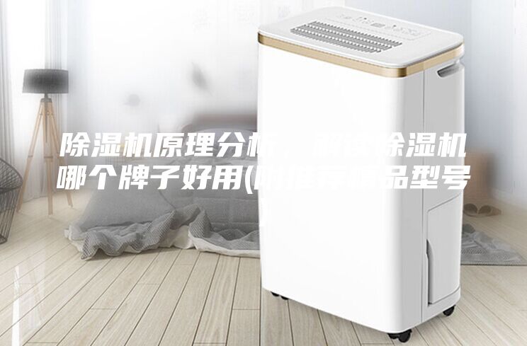 除濕機原理分析，解讀除濕機哪個牌子好用(附推薦精品型號)