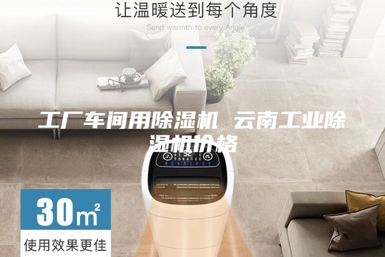 工廠車間用除濕機 云南工業除濕機價格