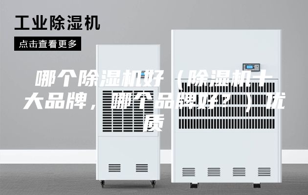 哪個除濕機好（除濕機十大品牌，哪個品牌好？）優(yōu)質(zhì)