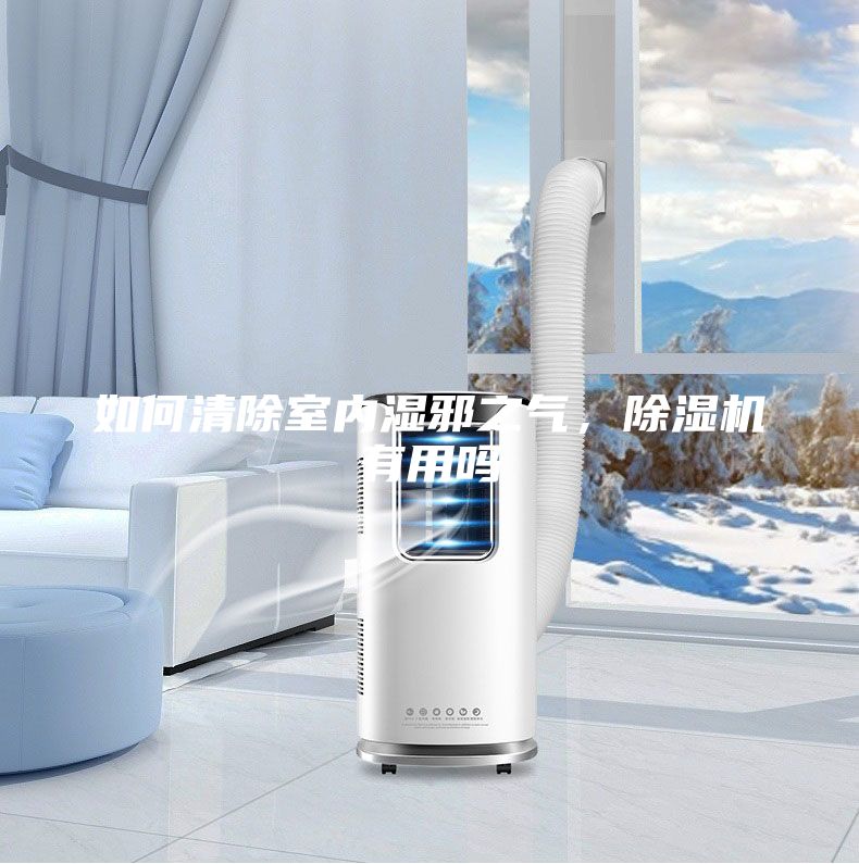 如何清除室內(nèi)濕邪之氣，除濕機有用嗎