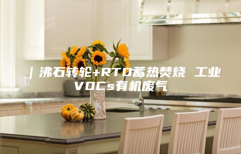 ｜沸石轉(zhuǎn)輪+RTO蓄熱焚燒 工業(yè)VOCs有機(jī)廢氣