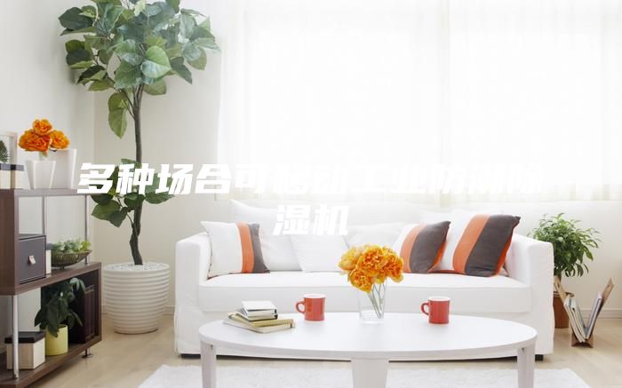 多種場(chǎng)合可移動(dòng)工業(yè)防潮除濕機(jī)