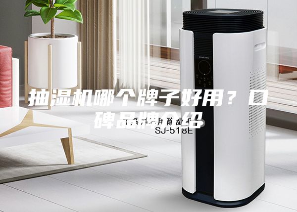 抽濕機哪個牌子好用？口碑品牌介紹