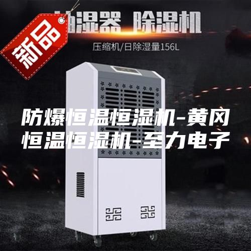 防爆恒溫恒濕機(jī)-黃岡恒溫恒濕機(jī)-至力電子