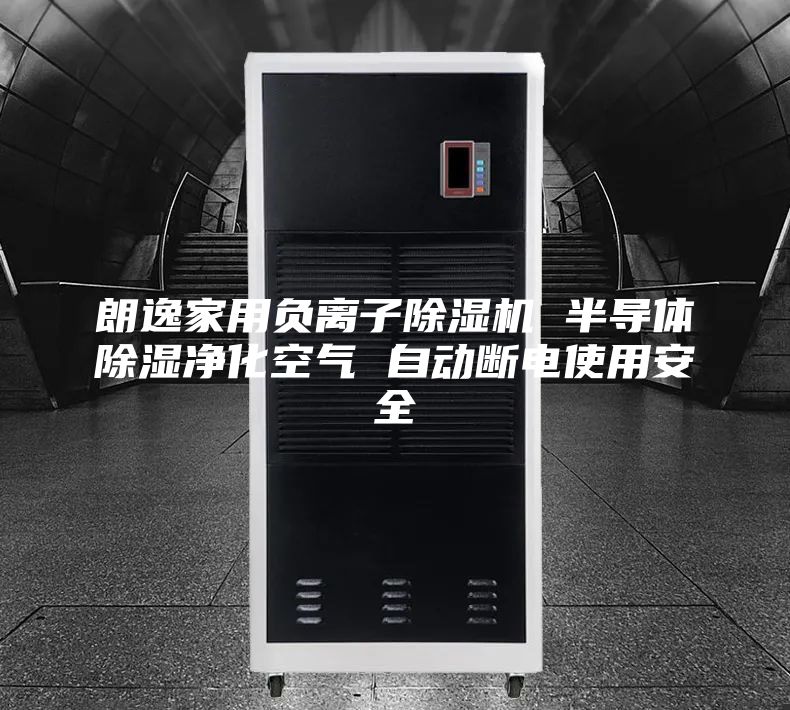 朗逸家用負(fù)離子除濕機(jī) 半導(dǎo)體除濕凈化空氣 自動(dòng)斷電使用安全