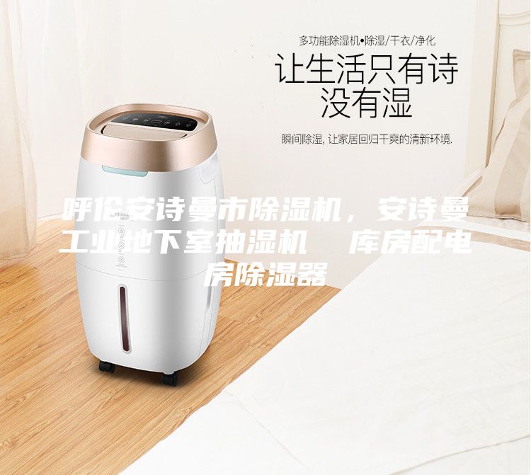 呼倫安詩曼市除濕機，安詩曼工業地下室抽濕機  庫房配電房除濕器