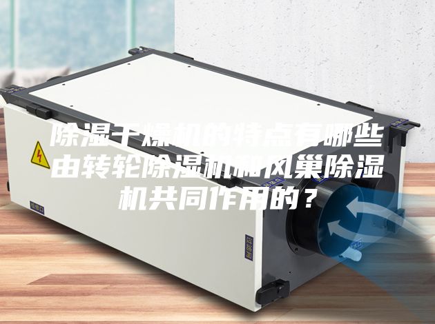 除濕干燥機的特點有哪些由轉輪除濕機和風巢除濕機共同作用的？