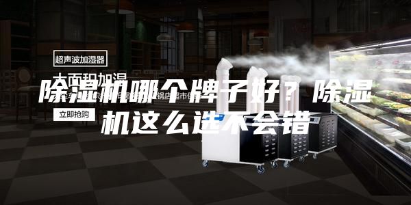 除濕機(jī)哪個(gè)牌子好？除濕機(jī)這么選不會錯(cuò)