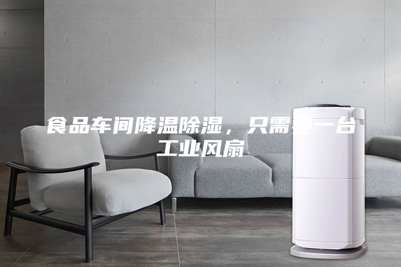 食品車間降溫除濕，只需要一臺(tái)工業(yè)風(fēng)扇