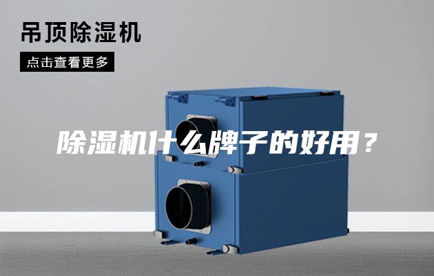 除濕機(jī)什么牌子的好用？