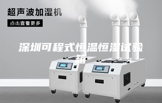 深圳可程式恒溫恒濕試驗(yàn)箱