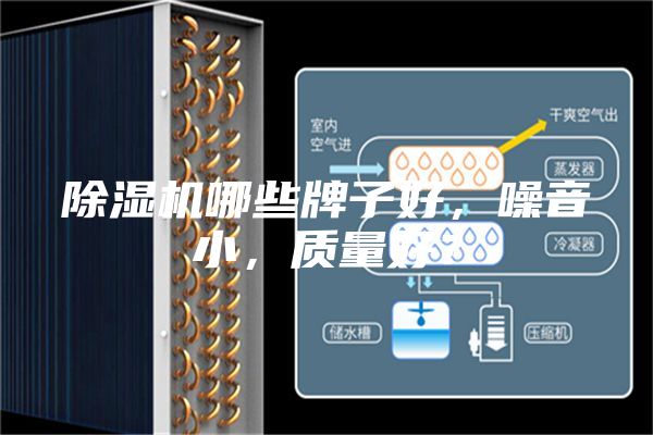 除濕機哪些牌子好,噪音小,質量好?