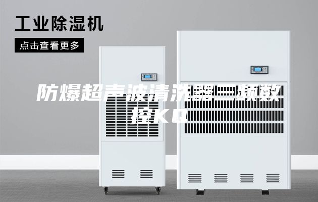 防爆超聲波清洗器三頻數(shù)控KQ