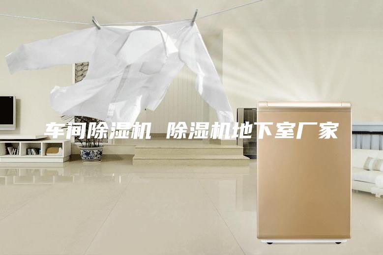 車間除濕機 除濕機地下室廠家