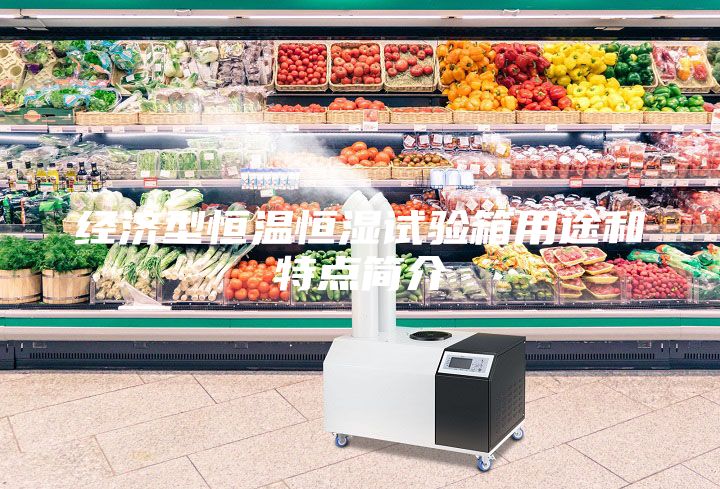 經(jīng)濟(jì)型恒溫恒濕試驗箱用途和特點簡介