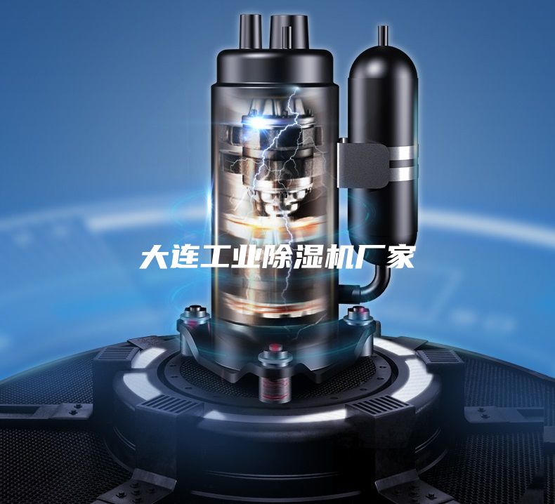 大連工業(yè)除濕機廠家
