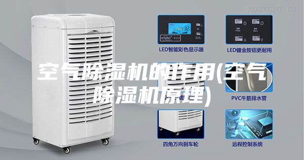 空氣除濕機(jī)的作用(空氣除濕機(jī)原理)