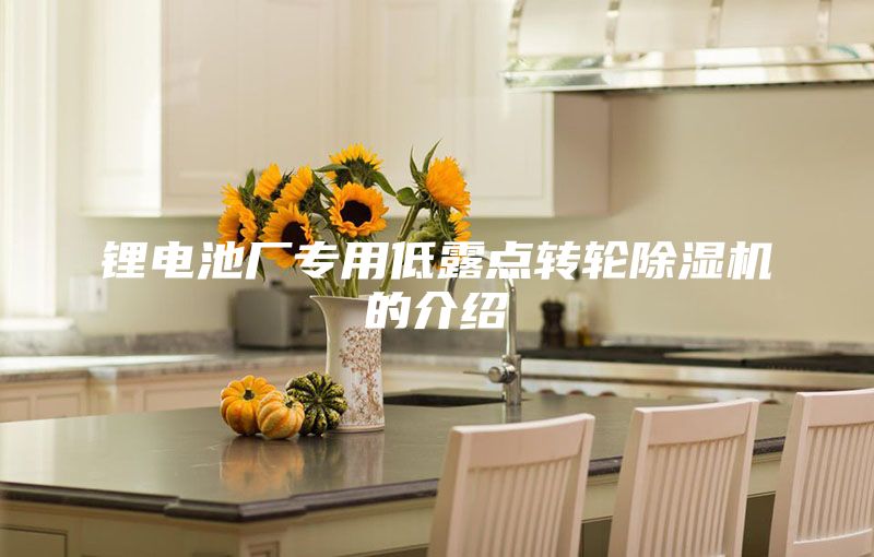 鋰電池廠專用低露點轉(zhuǎn)輪除濕機的介紹
