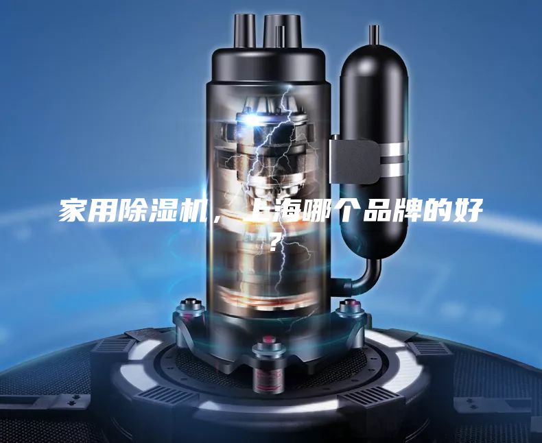 家用除濕機，上海哪個品牌的好？
