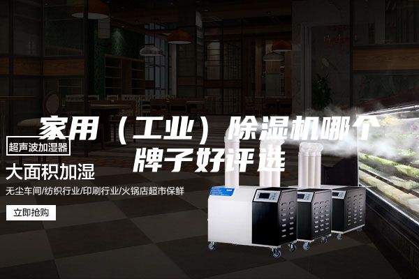 家用（工業(yè)）除濕機(jī)哪個牌子好評選