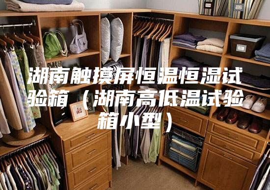 湖南觸摸屏恒溫恒濕試驗(yàn)箱（湖南高低溫試驗(yàn)箱小型）