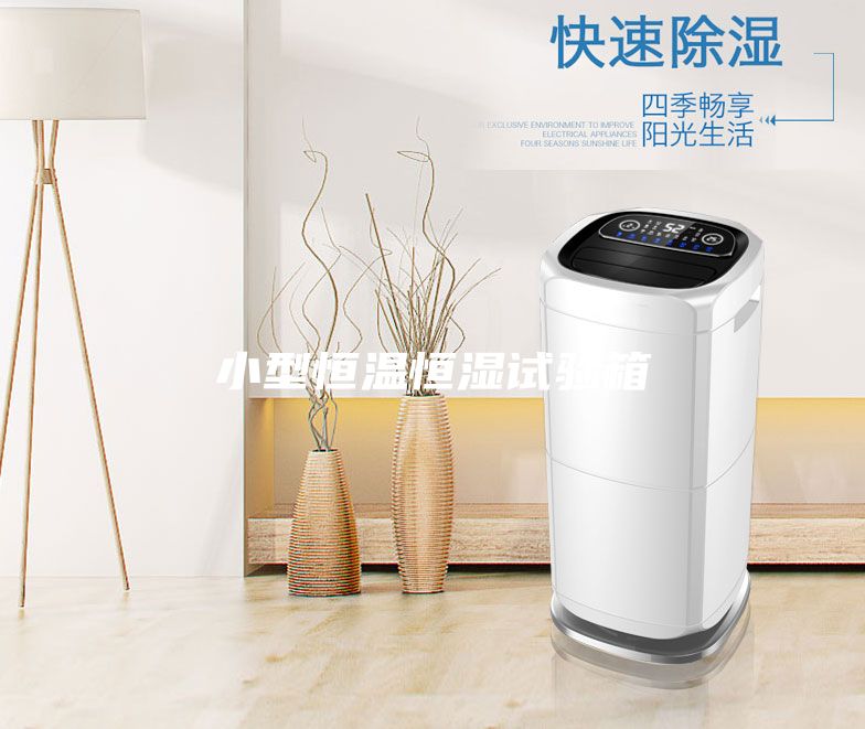 小型恒溫恒濕試驗箱