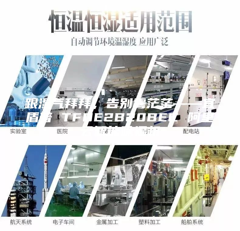 跟濕氣拜拜，告別霧茫茫——宜盾普 TFDE2B20BEC 阿里云智能除濕機