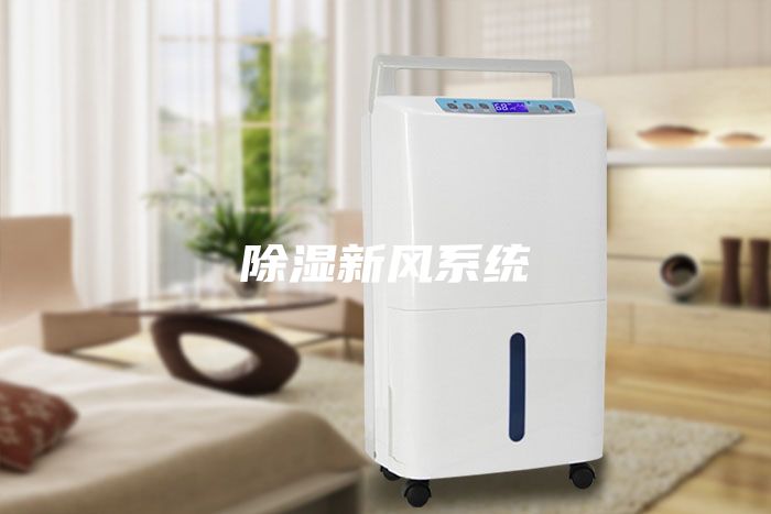 除濕新風系統