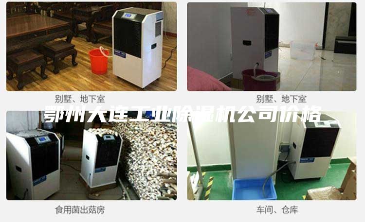 鄂州大連工業(yè)除濕機(jī)公司價(jià)格