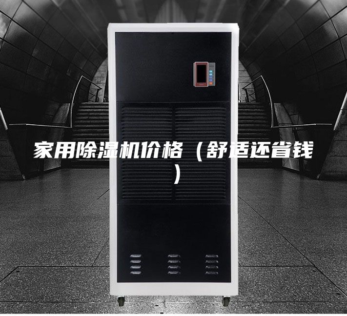 家用除濕機(jī)價(jià)格(舒適還省錢)