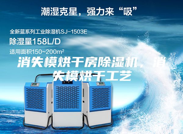 消失模烘干房除濕機(jī),消失模烘干工藝